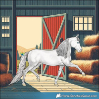 Horse Color:Smoky Creme Tobiano 