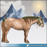 Horse Color:Gold Champagne Pearl Rabicano  and Gray Gold Champagne Pearl Rabicano 