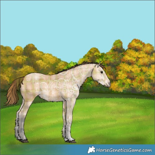 Horse Color:Plaid  Bay Ice 