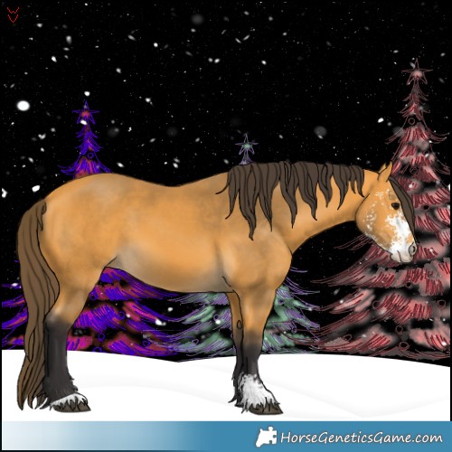 Horse Color:Buckskin Sabino 