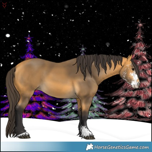 Horse Color:Buckskin Sabino