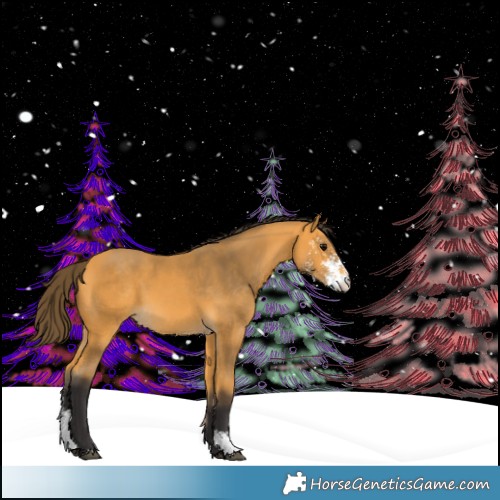 Horse Color:Buckskin Sabino 