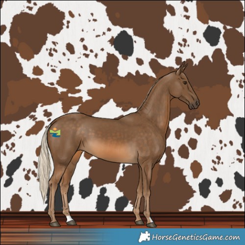 Horse Color:Chocolate Palomino 