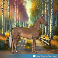 Horse Color:Chocolate Palomino