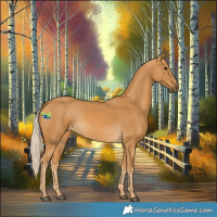 Horse Color:Palomino 