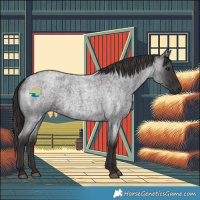 Horse Color:Smoky Blue Roan 
