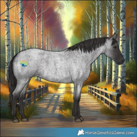 Horse Color:Smoky Blue Roan 