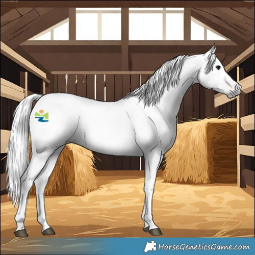 Horse Color:Gray Bay 