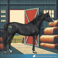 Horse Color:Black Splash 