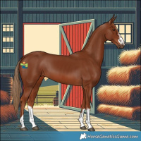 Horse Color:Chestnut 