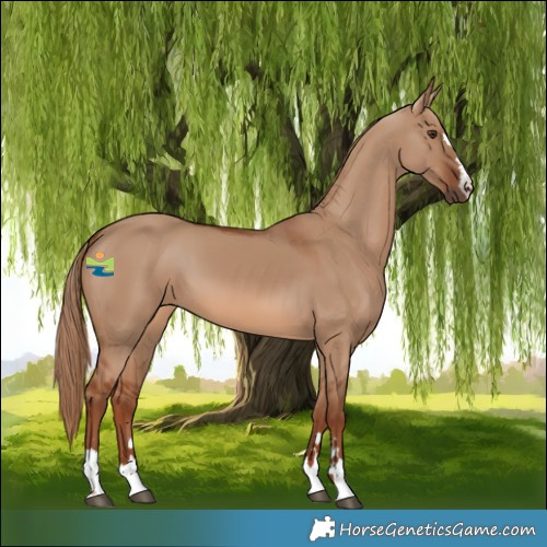 Horse Color:Red Dun 