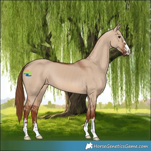 Horse Color:Red Dun 