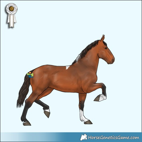 Horse Color:Bay Tobiano Rabicano 