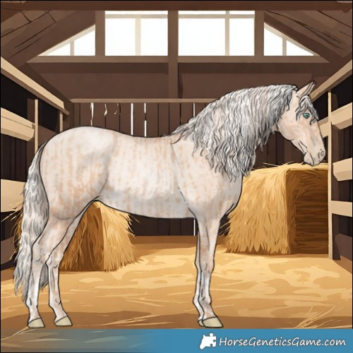 Horse Color:Gold Champagne Pearl Rabicano  and Gold Cream Champagne Pearl Rabicano 