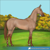Horse Color:Red Dun 