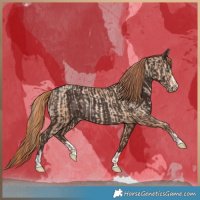 Horse Color:Amber Champagne Pearl Rabicano  and Liver Chestnut Rabicano 
