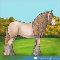 Horse Color:Gold Champagne Pearl Rabicano  and Gold Champagne Pearl Frame Rabicano 