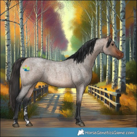 Horse Color:Brown Roan Dun Rabicano