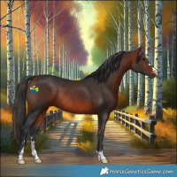 Horse Color:Brown Rabicano 