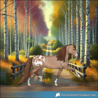 Horse Color:Red Dun Blanket Rabicano 