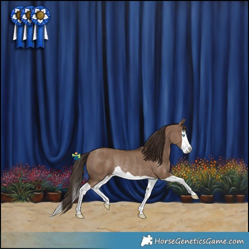 Horse Color:Liver Red Dun Splash Rabicano