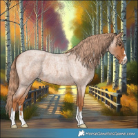 Horse Color:Red Roan Varnish 