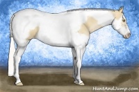 Horse Color:Silver Bay Pearl Dun Splash Tobiano Frame 