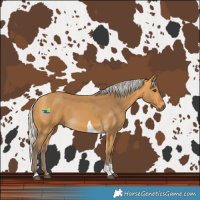 Horse Color:Silver Buckskin Tobiano