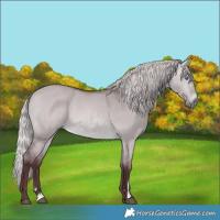 Horse Color:Chocolate Silver Brown Chinchilla Dun 