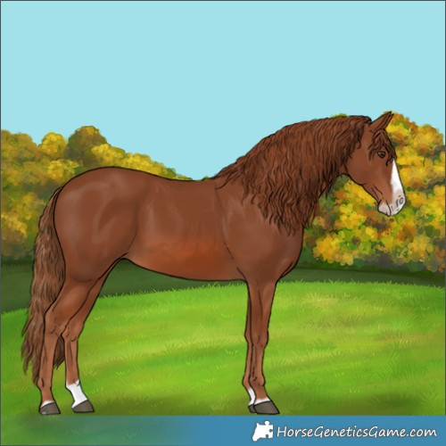 Horse Color:Chestnut Splash Frame 