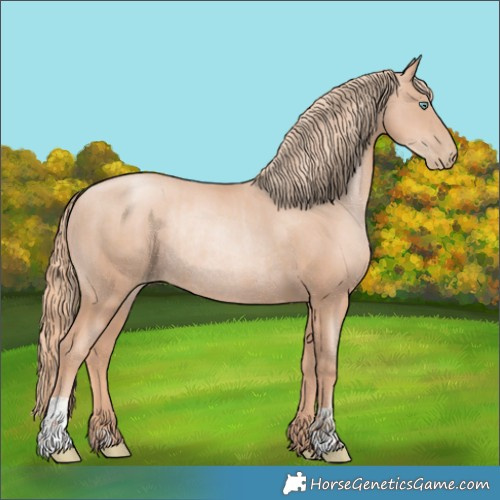 Horse Color:Gold Champagne Pearl Rabicano  and Gold Champagne Pearl Rabicano 