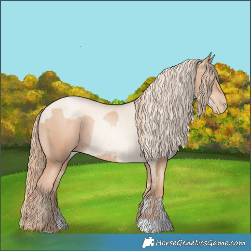 Horse Color:Gold Champagne Pearl Rabicano  and Gold Champagne Pearl Dun Rabicano 