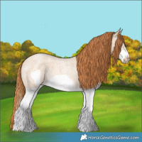 Horse Color:Red Dun Roan Splash Frame Rabicano 