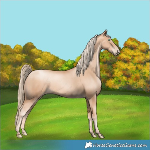 Horse Color:Gold Champagne Pearl Rabicano  and Gold Champagne Pearl Rabicano 