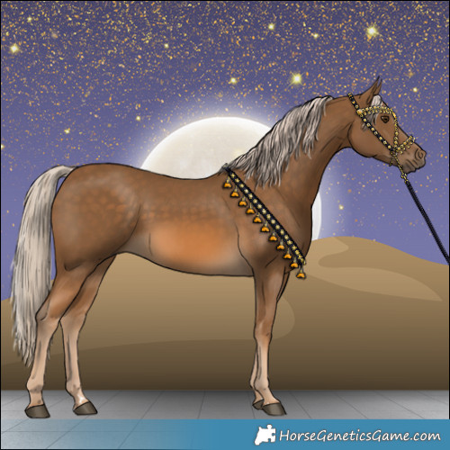 Horse Color:Chocolate Palomino