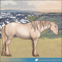 Horse Color:Silver Classic Champagne Pearl Rabicano  and Gold Champagne Pearl Rabicano 