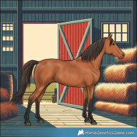 Horse Color:Bay 