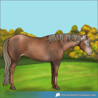 Horse Color:Gray Liver Chestnut Pearl Mushroom