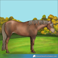 Horse Color:Gray Liver Chestnut Pearl Mushroom 