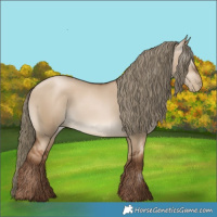 Horse Color:Gray Liver Red Dun Pearl Mushroom Rabicano 