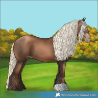 Horse Color:Gray Liver Chestnut Pearl Mushroom