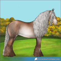 Horse Color:Gray Liver Chestnut Pearl Mushroom