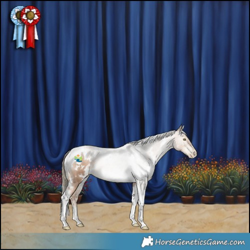 Horse Color:White Spotted Liver Chestnut Pearl Mushroom Tobiano Rabicano 
