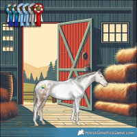 Horse Color:White Spotted Liver Chestnut Pearl Mushroom Tobiano Rabicano 