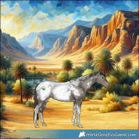 Horse Color:White Spotted Grullo Tobiano Appaloosa Rabicano 