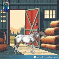 Horse Color:White Spotted Grullo Tobiano Snowcap Rabicano 