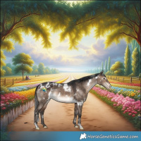 Horse Color:White Spotted Bay Dun Appaloosa Rabicano