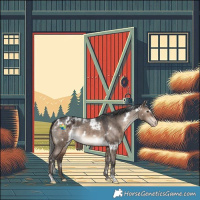 Horse Color:White Spotted Bay Dun Varnish Rabicano