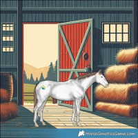 Horse Color:White Spotted Brown Pearl Dun Mushroom Splash Appaloosa Rabicano