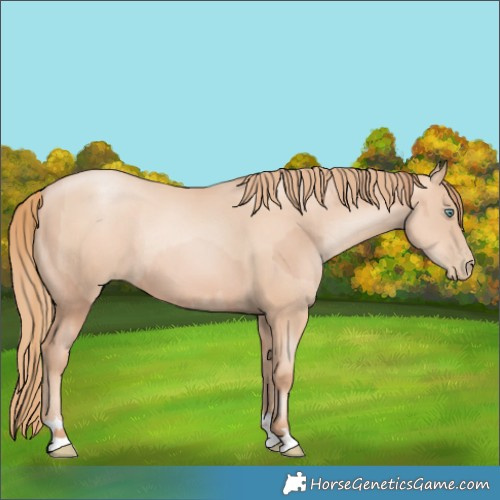 Horse Color:Gold Champagne Pearl Rabicano  and Gold Champagne Pearl Rabicano 